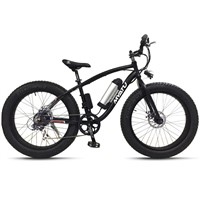 26&amp;quot; Electric bicycle with 2 fat tires