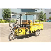 150cc Adult Cargo Motor Tricycle with Roof