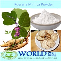 100% Natural Kudzu Root Powder Puerariae Root  Powder Breast Enlarge Wild Pueraria Powder