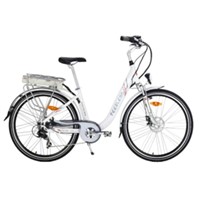 28&amp;quot; Multi-purpose electric bicycle with 250W motor