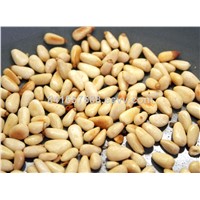 100% Wild Organic ChinaPine Nuts Nature Pine Nuts Kernels