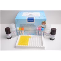fumonisin detection kit 96T