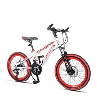 20&amp;quot; High Carbon Steel Mountain Bike with Front Suspension Fork