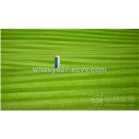 Agricultural Gypsum Used for Golf Course