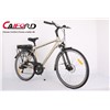 Aluminum alloy front fork electric bike