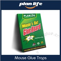 Mouse and Rat glue board pack of 2 Rat killer board 1+1 offer sale