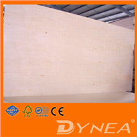 china 3mm 6mm 9mm 12mm 15mm 18mm 21mm furniture plywood/commercial plywood