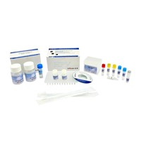 HPV 27 genotyping  DNA Detection kit