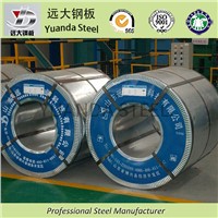Galvanised Steel coil / sheet/ plate/strip