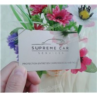 Mirror Effect Stainless Steel Metal Business Card