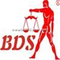 BDS Notebook scale 2 series