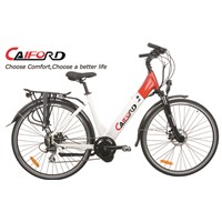 Different type mid motor electric bike