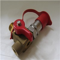 QF-T1H4 CNG valve