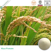 Natural Food Grade 80% Rice Protein