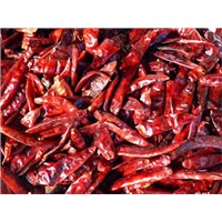 dried red chili pepper