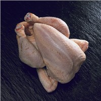 Frozen whole chicken  &amp;amp; Chicken Feet