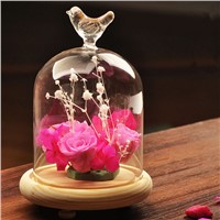 Lamp Blown Glass Dome Home Decoration Vase Hand Made Glass Friend Gift Promotion Glass Gift