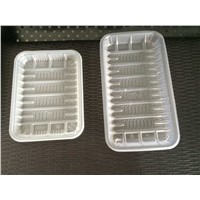 singled-used PP plastic  tray for food