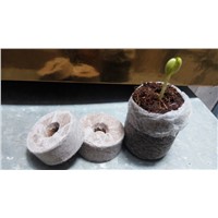 Coco Peat Pellet