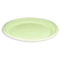 disposable plate for fast food or party / biodegradable takeaway dinnerware