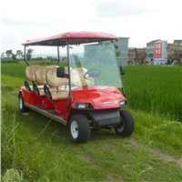 6 Passeengrs Sightseeing Vehicle with 4KW Motor for Sale