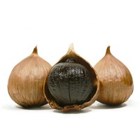 Natural nutritional supplement Black Garlic for health