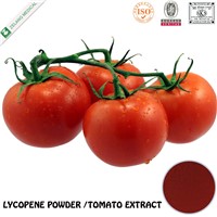 Natural Tomato extract Lycopene Powder