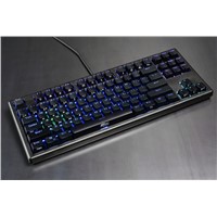 RC930 Electro Capacitive Keyboard (TKL/Full Size)gming keyboard