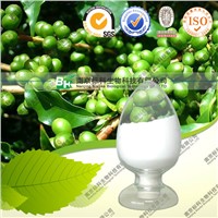 Green coffee bean extract 25% 50% Chlorogenic Acid