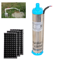 3t/H Solar Submersible Pumps with Built-in MPPT Controller
