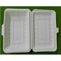 disposable tableware / biodegradable tableware / takeaway lunch box