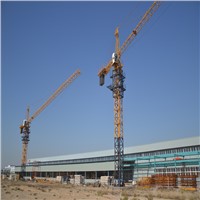 Export QTZ100 6ton tower crane from famous manufacturer