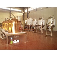 China 100l craft beer brewing equipment
