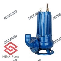 Wq Wqd Series Sewage Submersible Pump for Agricultural Irragtion