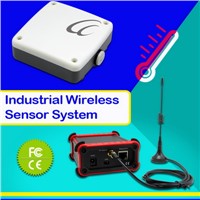 Multipoint Temperature Wireless Station temperature sensor 433mhz