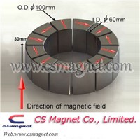 Halbach Array Segment N45 Magnet (OD100mmxID60mmxH30mm)