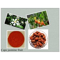 Fructus Gardeniae,Cape jasmine fruit,Gardenia jasminoides Ellis,Zhizi