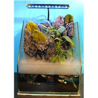 aquarium landscaping background, landscaping for home and office