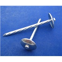 polished and galvanized roofing nail