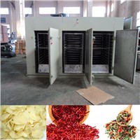 Hot Air Vegetables Drying Oven (AZS-CT-C-III)