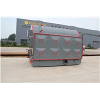 CE Biomass Fired Steam Boiler for Sale