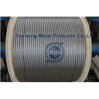 Stainless Steel Wire Rope 7x19 7x7 1x19 6x36