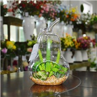 Pear Shape Glass Terrarium Artificial Succulent Plant for Hotel Decoration