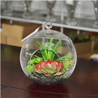 Hanging Round Artificial Succulent Plant Terrarium Glass