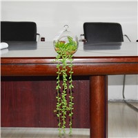 Artificial Succulent Plant Glass Globe Hanging Terrarium