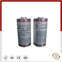 Downhole MWD C size battery ER26505
