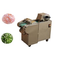 multifunctional vegetable cutting machine with price