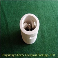 Ceramic Pall Ring