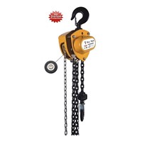 Selling Chinese Hand Chain Hoists