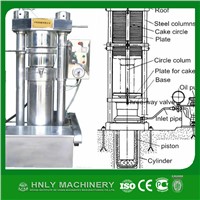 6YY260 hydraulic oil press machine to press sesaem walnut